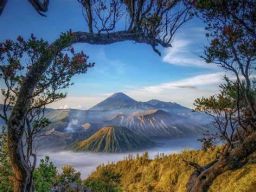 Menikmati Gunung Bromo Cuma Rp 25 Ribu