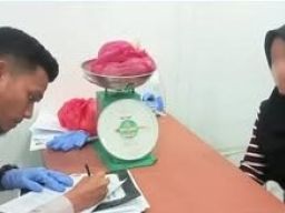 Petugas Karantina Sumatera Utara Tahan Buah Segar Asal Malaysia