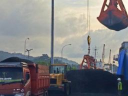 PT Awana Sawit Lestari Ekspor Cangkang Sawit ke Korsel