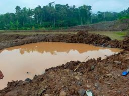 Hartono, Penambang Ilegal di Banyuwangi Dihukum 4 Bulan Penjara