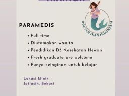 Dokter Ikan Indonesia Buka Lowongan Paramedis