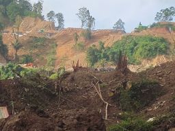 Demi Cuan dari Tambang Emas, Hutan di Ratatotok Digunduli