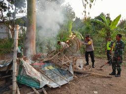 Judi Sabung Ayam di Desa Kedungmaling Diminta untuk Ditertibkan