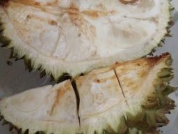 Beli Durian Busuk di Area Masjid Cheng Hoo Pasuruan