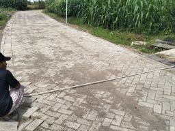 Kualitas Pavingisasi Jalan di Desa Sumput, Dilewati Kendaraan Amblas dan Bergelombang