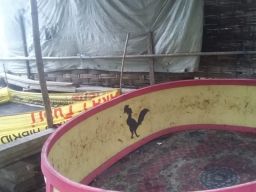 Jejak Arena Sabung Ayam di Kecamatan Krian