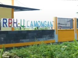 Praktik Korupsi dalam Pembangunan Kompleks Gedung RPH Unggas Lamongan