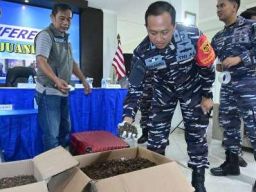 Satgaspam TNl AL Bandara Juanda Gagalkan Upaya Penyelundupan 54 Kg Kalajengking