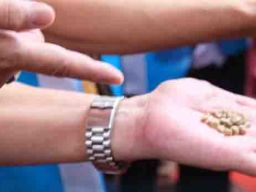 59,4 Ton Kopi Palembang Diekspor ke Malaysia dan Australia