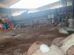 Ada Pabrik Pupuk di Lamongan Diduga Pakai Oli Bekas untuk Pembakaran