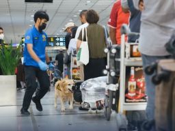 Bea Cukai Cegah 7,4 Ton Narkoba Masuk Indonesia