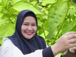 Siti Nurhayati Sukses Bertani Kemangi Beromset Puluhan Juta Per Bulan
