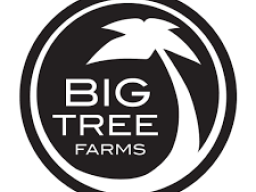 Job Vacancy PT Bening Big Tree Farms