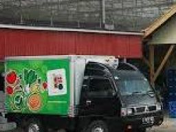 PT Momenta Agrikultura Buka Lowongan Staf Budidaya