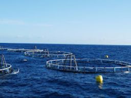 Lowongan Kerja di PT Tequisa Indonesia