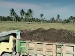 Yayak Dipidana 5 Bulan Penjara di Kasus Tambang Ilegal Banyuwangi