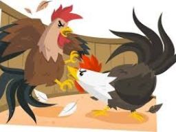 Marak Sabung Ayam di Kabupaten Malang