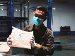 Udang PUD Beku Diekspor ke Jepang