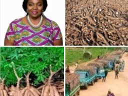 Yemisi Iranloye, Dijuluki Ratu Singkong Asal Nigeria