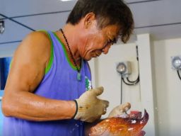 CV Indo Marine Fish Ekspor Produk Perikanan ke Hong Kong