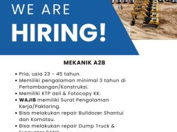 Lowongan Mekanik di DingChang Group