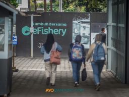 Klarifikasi Karyawan eFishery Menanggapi Tentang Fraud