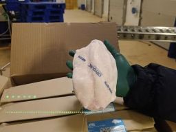 Badan Karantina Indonesia Sertifikasi Ikan untuk Ekspor ke Amerika Serikat