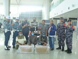 Satgaspam TNI AL Bandara Juanda Gagalkan Penyelundupan Benih Bening Lobster