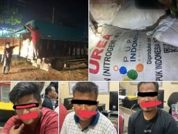 Sindikat Perdagangan Pupuk Bersubsidi Ilegal Ditangkap Polres Kuansing