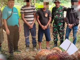 Polsek Kota Bangun Tangkap Pencuri Sawit Milik PT Prima Mitrajaya Mandiri