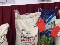 Salahuddin dan Lutfi DPO Polda Sumatera Selatan di Kasus Pupuk Ilegal dari Gresik