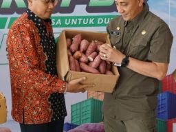 Beragam Ubi dari Kabupaten Bangkalan Diekspor