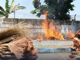 Bea Cukai Tanjung Emas Musnahkan Tekstil Impor