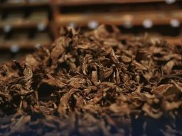 Bea Cukai Yogyakarta Terbitkan NPPBKC kepada CV Linting Tembakau Indoputra