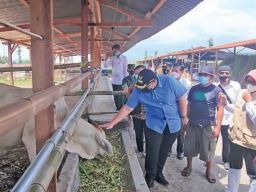 Kejari Kabupaten Kediri Tetapkan Ketua Kelompok Ternak Jadi Tersangka Korupsi