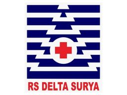 PT Anwar Medika Pidanakan Petugas Cleaning Service RS Delta Surya