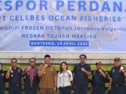 PT Celebes Ocean Fisheries Ekspor 22 Ton Gurita Beku ke Pasar Meksiko