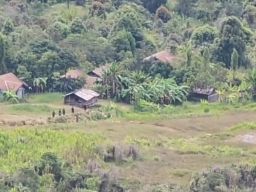 Milisi Organisasi Papua Merdeka Intai Aktivitas TNI di Pegunungan Bintang