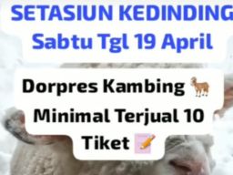 Sabung Ayam di Desa Kedinding Sidoarjo Berhadiah Kambing