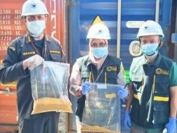 16 Kontainer Bungkil Jagung Impor Tiba di Sumatera Barat