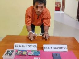 Polsek Kampar Kiri Hilir Bekuk Pengedar Sabu di Desa Penghidupan