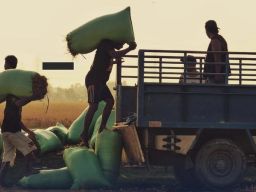 PT Asha Nouva International Ekspor 4,7 Ton Komoditas Pertanian ke Jepang