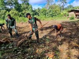 Satgas Yonif Qurata Yudha Buka Lahan Ketahanan Pangan