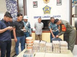 Pengiriman Sarang Burung Walet Ilegal Digagalkan Di Bandara Juanda