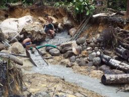 Konflik Tambang Emas Yahukimo