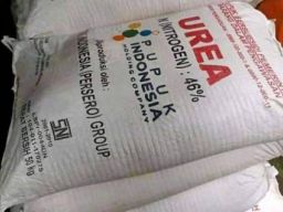 Gudang Penimbunan Pupuk Bersubsidi Ilegal di Desa Sumolawang