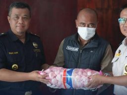 Bawang Putih dan Bawang Bombai Ilegal dari China Digagalkan Masuk Indonesia