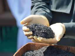 Karantina Jawa Barat Sertifikasi Ekspor Sekam Bakar ke Belanda