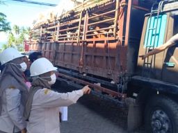 28.429 Ekor Sapi Kurban Masuk Jawa Timur Lewat Pelabuhan Ketapang