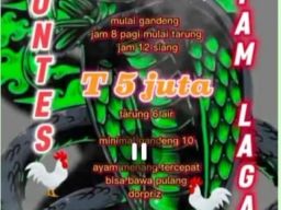 Sabung Ayam di Desa Mentoro Diduga Jadi Ajang Perjudian